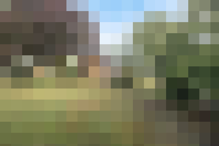 Image 35
