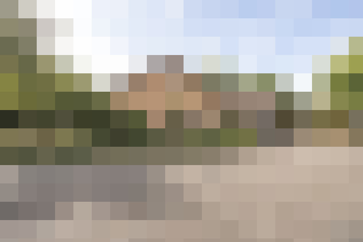 Image 41