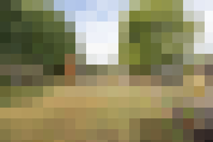 Image 32