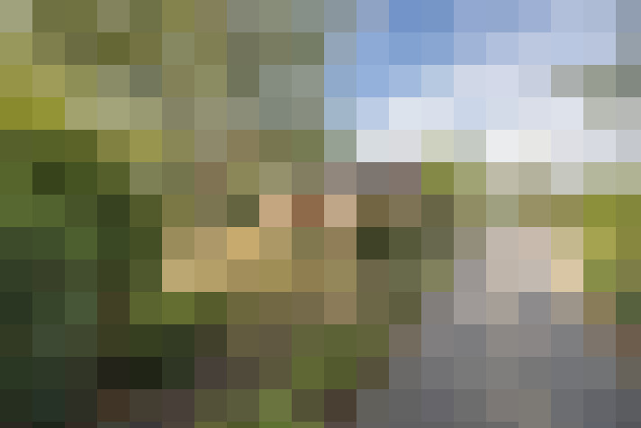 Image 43