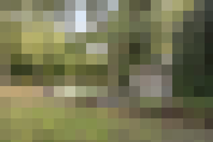 Image 37