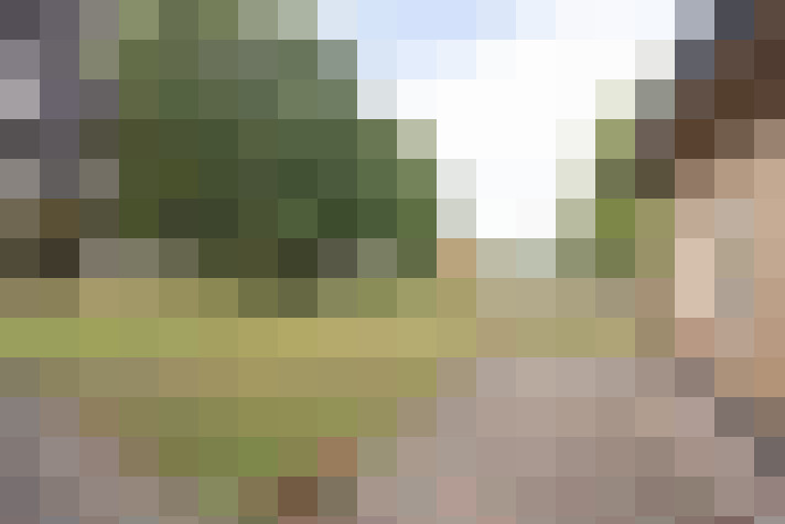 Image 31