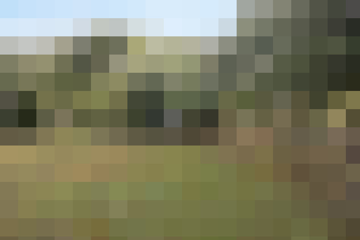 Image 36