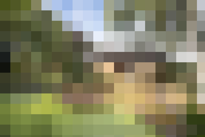 Image 39