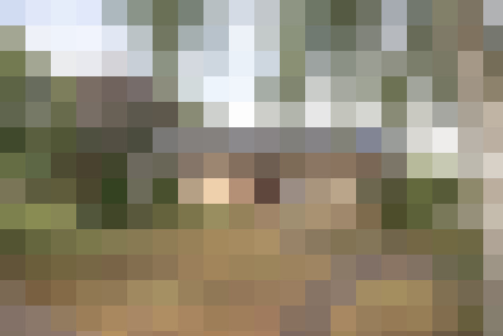 Image 40