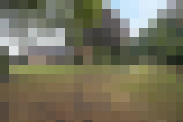 Image 33