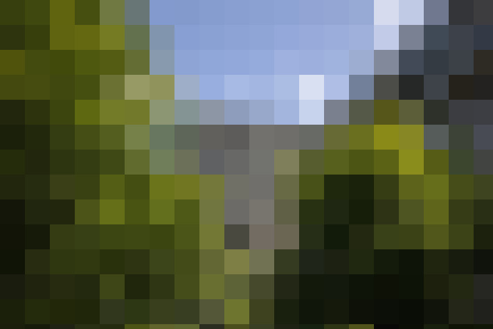 Image 13