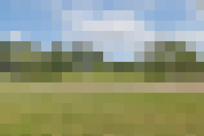 Image 23