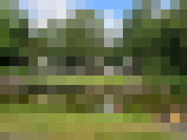 Image 32