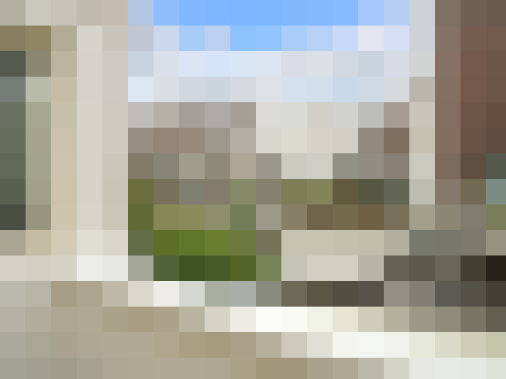 Image 16
