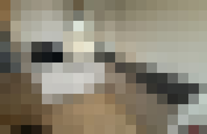 Image 20