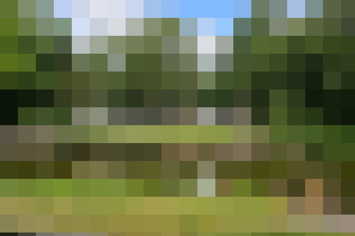 Image 32