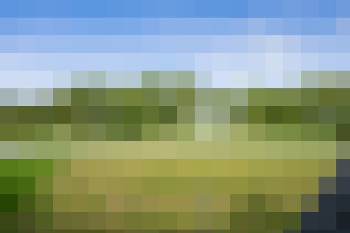 Image 51