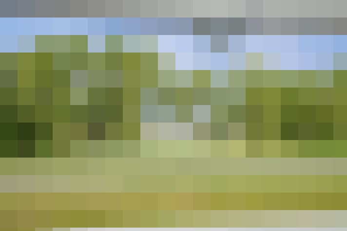 Image 50