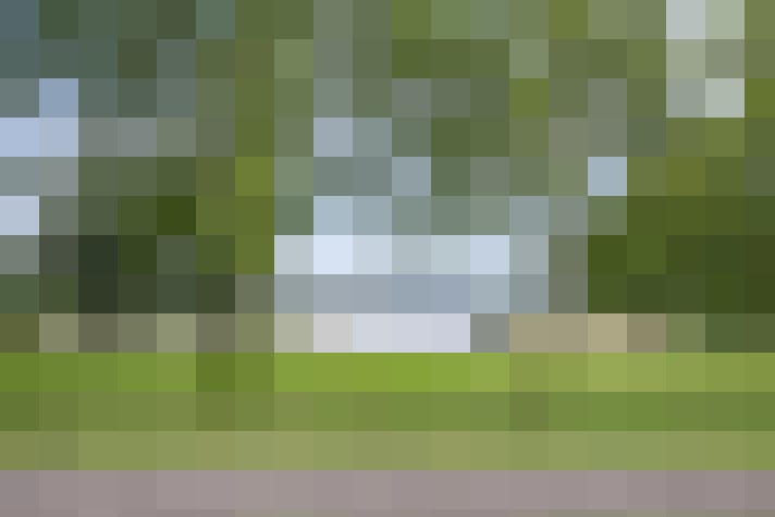 Image 46