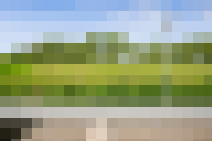 Image 53