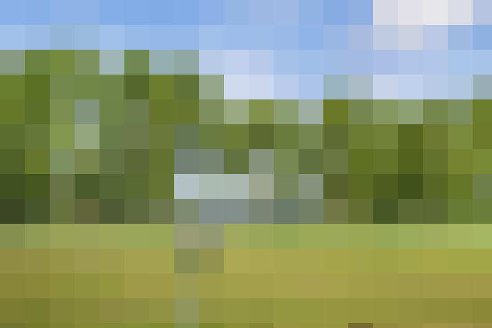 Image 49
