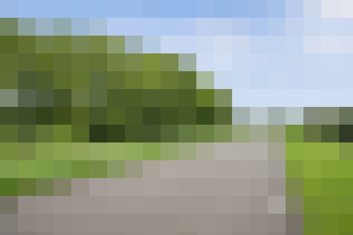 Image 47