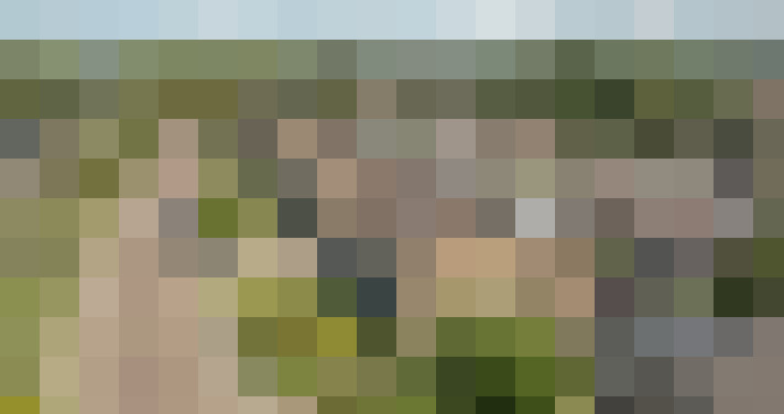Image 20