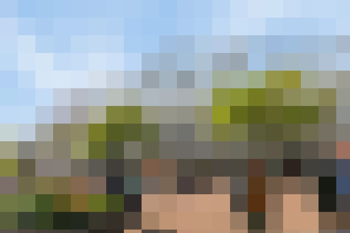 Image 25