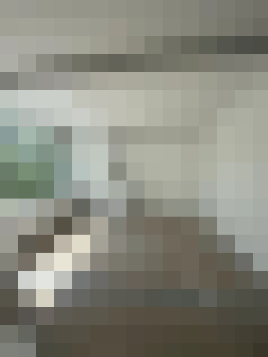 Image 25