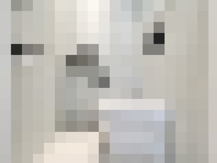 Image 13