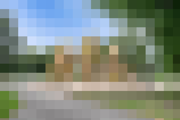 Image 29