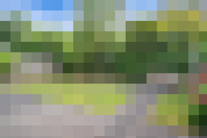 Image 20