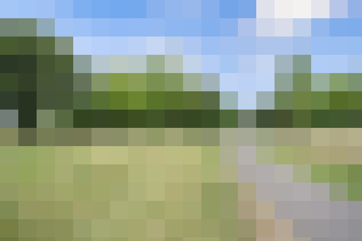 Image 30