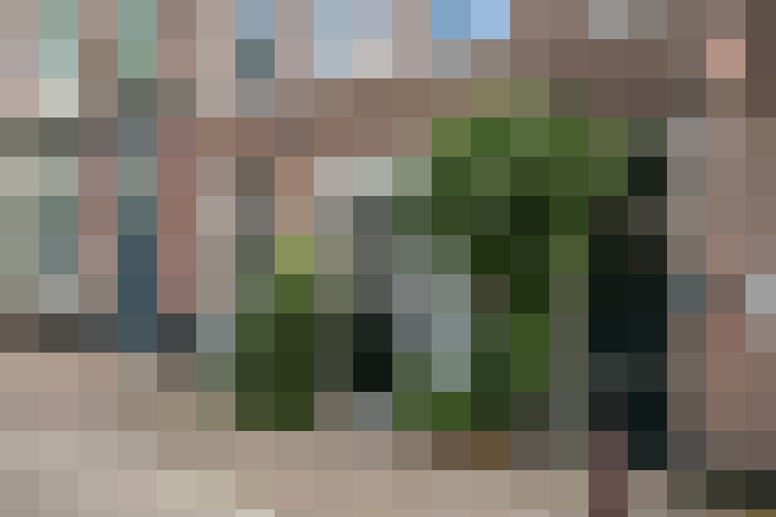 Image 22
