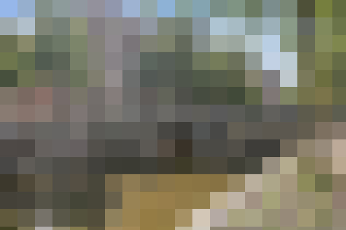 Image 29