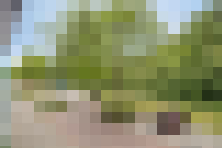 Image 31