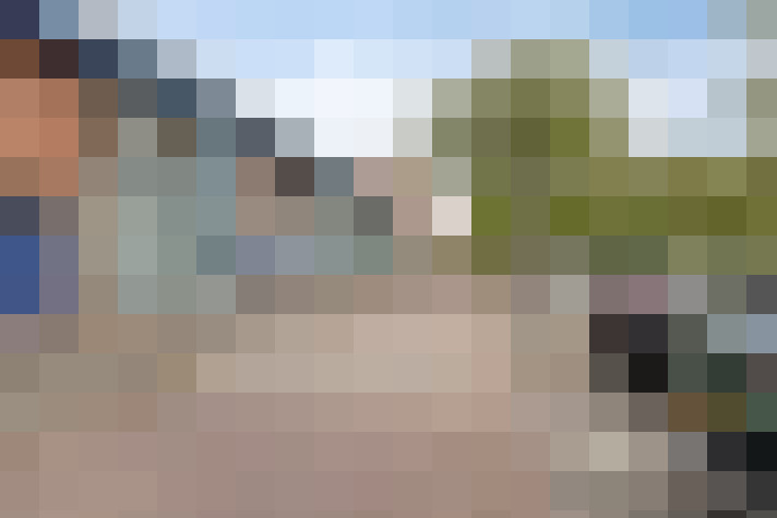 Image 29