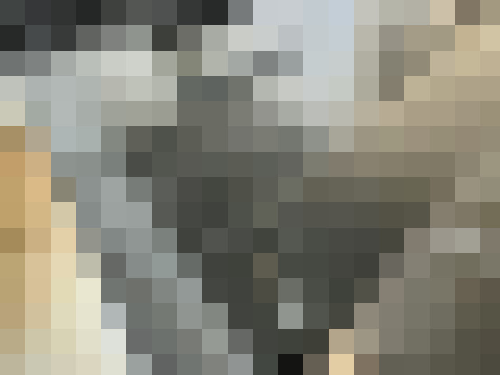 Image 17