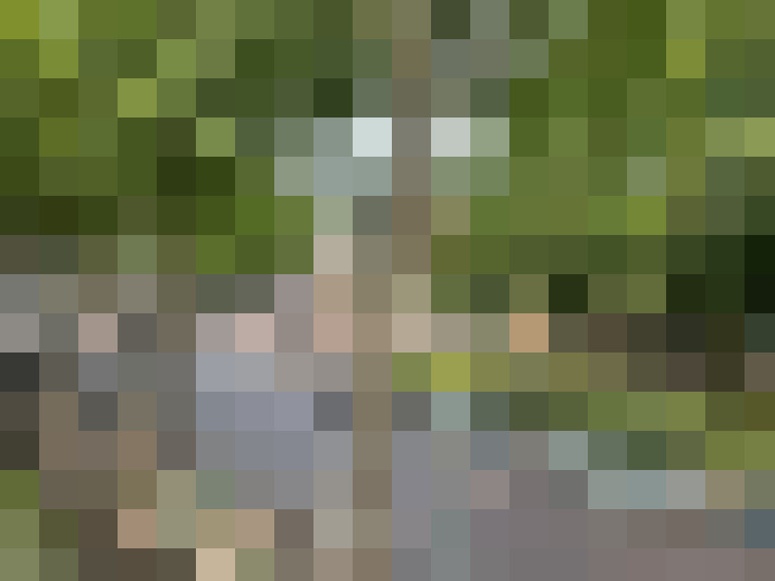 Image 17