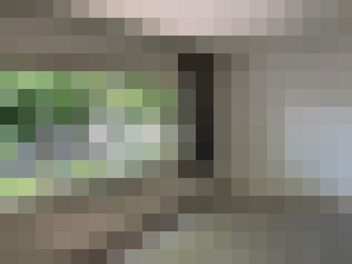 Image 15