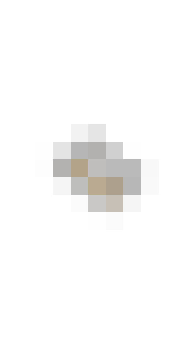 Image 47