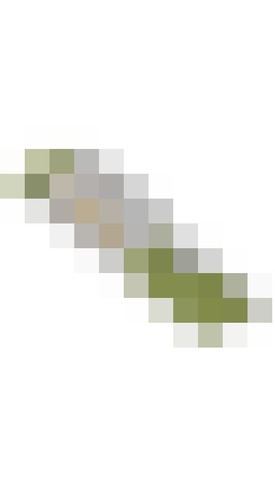 Image 43