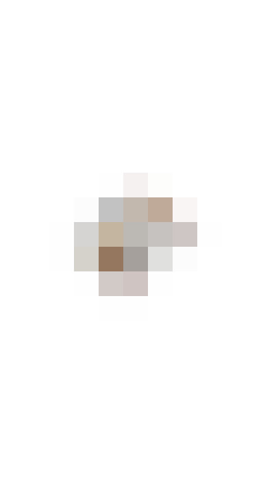 Image 51