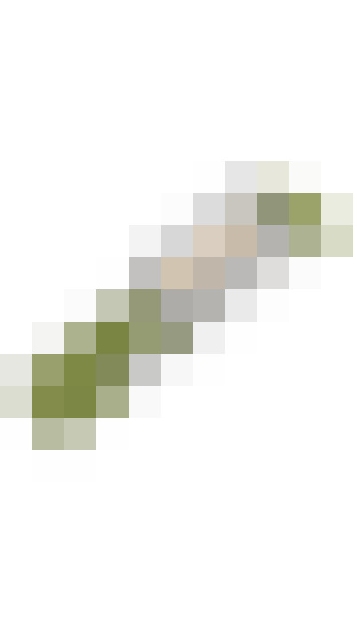 Image 53