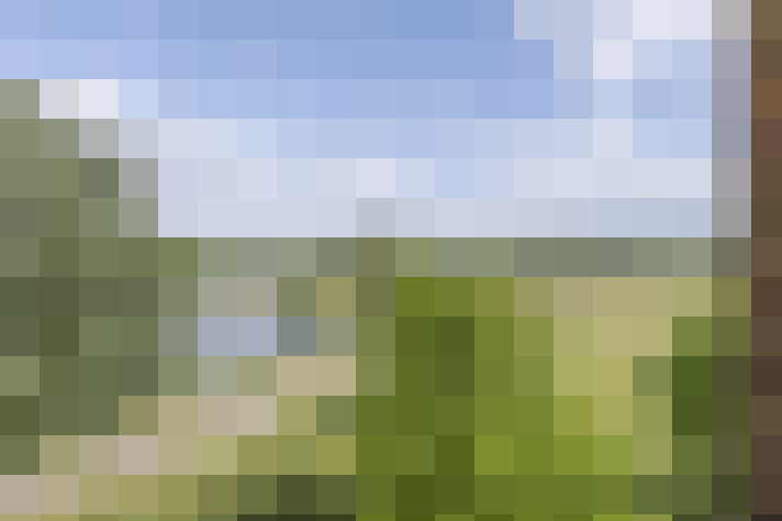 Image 33