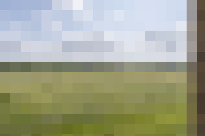 Image 31