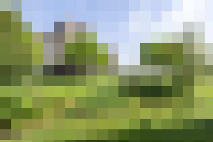 Image 25