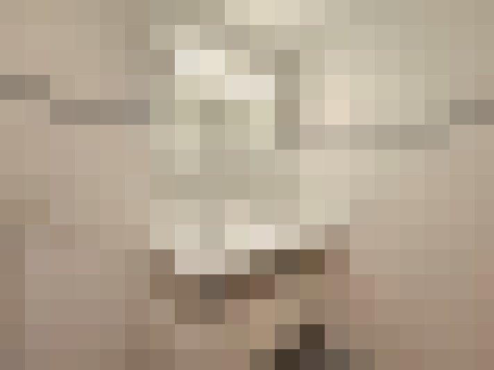Image 20