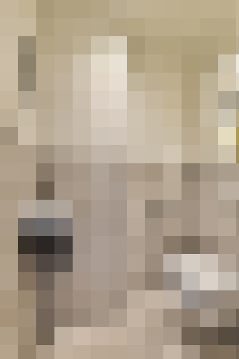 Image 29