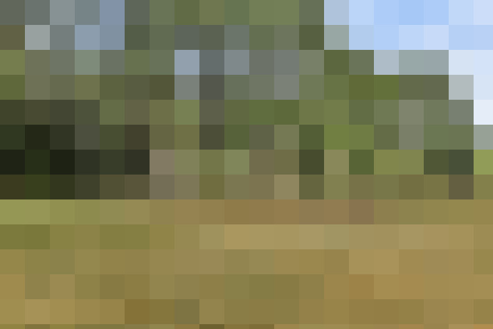 Image 36