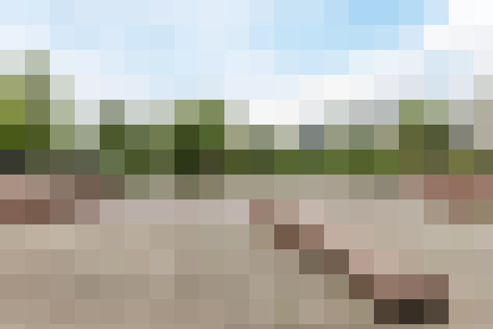 Image 50