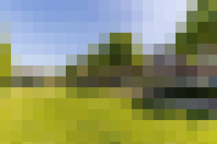 Image 26