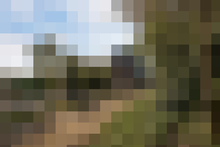 Image 13