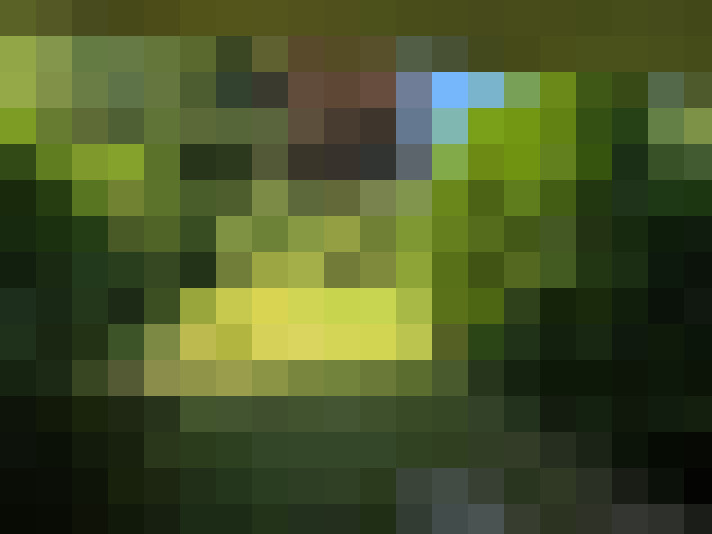 Image 31